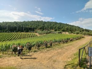 degustacao vinhos chianti guia brasileira 300x225 - Degusta&ccedil;&atilde;o de vinhos na Toscana