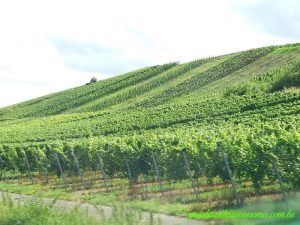 mosel estrada vinho alemanha 300x225 - mosel_estrada_vinho_alemanha.jpg