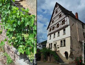 mosel_estrada_vinho_alemanha_cidades_uva.jpg mosel estrada vinho alemanha cidades uva 300x229 - mosel_estrada_vinho_alemanha_cidades_uva.jpg