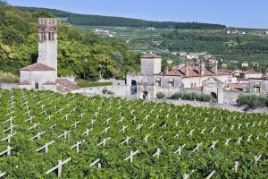 valpolicella_amarone_degustacao valpolicella amarone degustacao 300x200 - valpolicella_amarone_degustacao